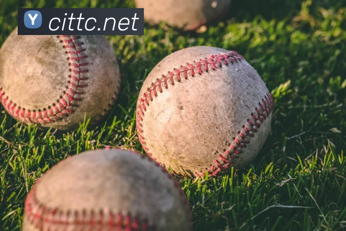 开云在线官方网站平台生态图